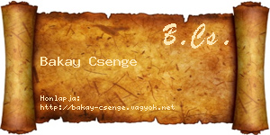 Bakay Csenge névjegykártya